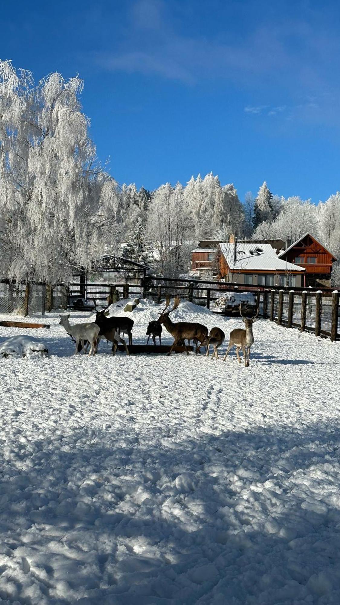 Hotel Farma Frantisek Stachy Exterior foto